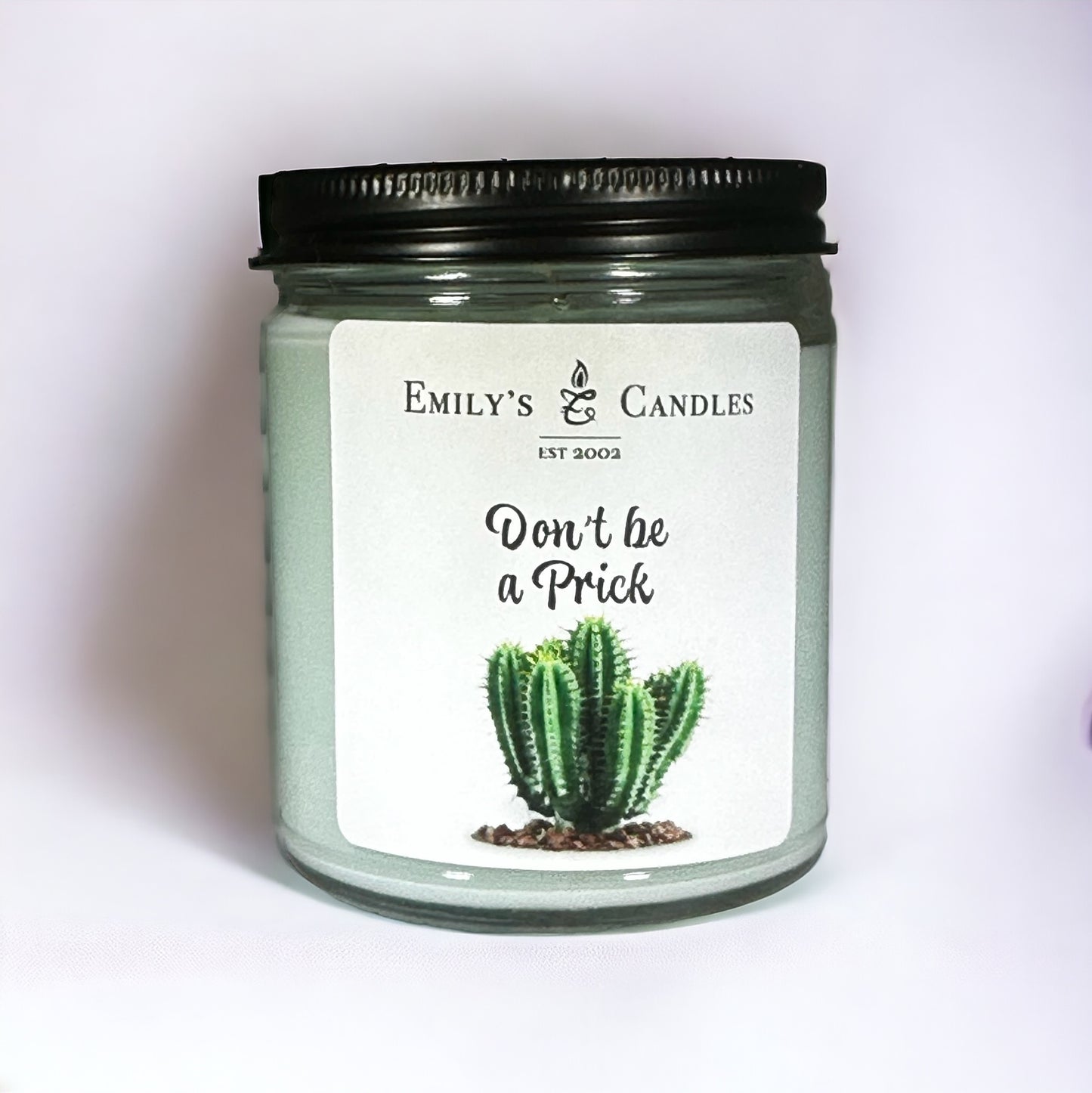 9 Oz Soy Candle “Don’t Be a Prick” in Cactus & Sea Salt scent