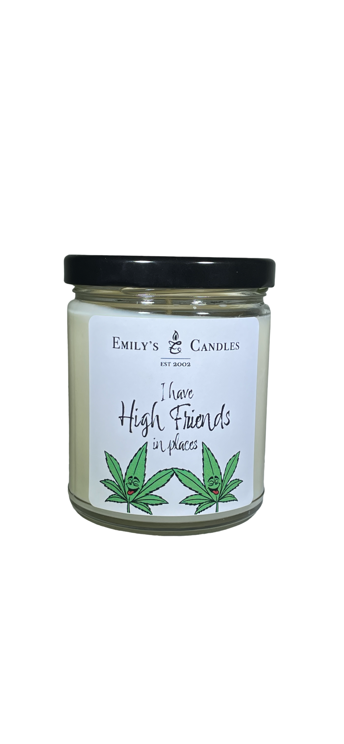 9 Oz Soy Candle "I Have High Friends in Places"
