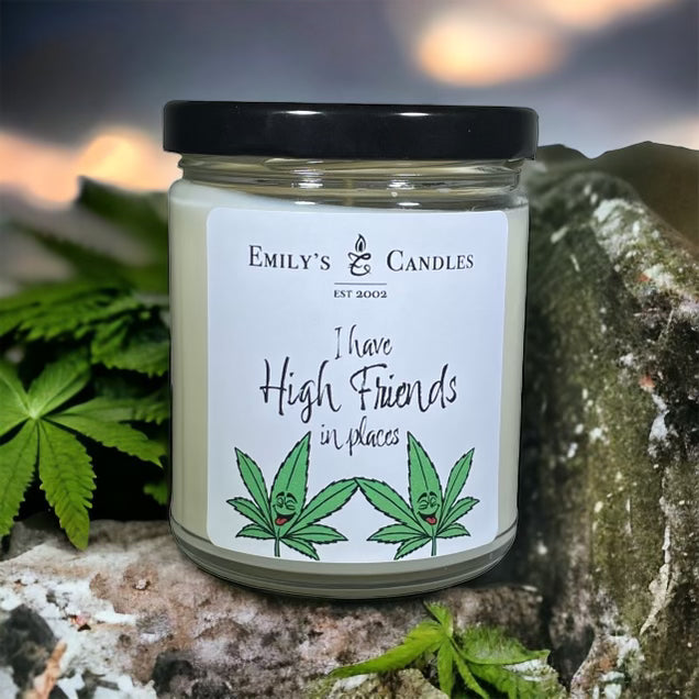 9 Oz Soy Candle "I Have High Friends in Places"